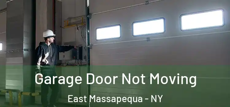  Garage Door Not Moving East Massapequa - NY