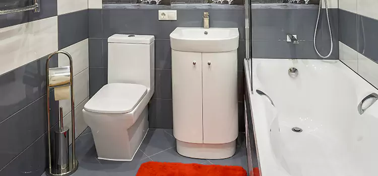 Hansgrohe Shaving Mirror East Massapequa